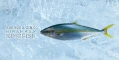 Cleanseas Hiramasa Kingfish