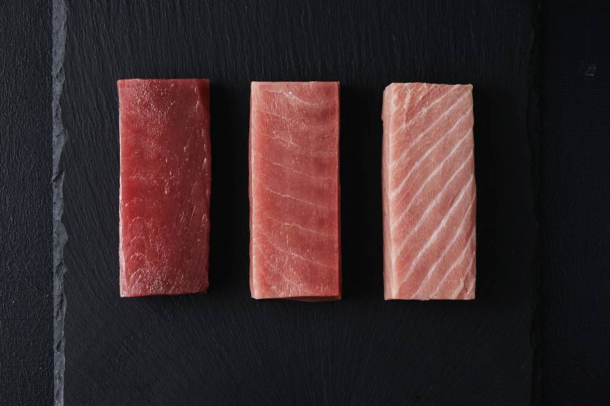 KIN Southern Bluefin Tuna